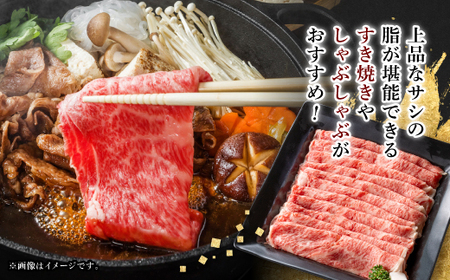 【飛騨牛】ローススライス(すき焼き/しゃぶしゃぶ)500g【配送不可地域：離島】【1046751】