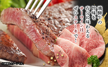 【飛騨牛】5等級サーロインステーキ 計約800g (200g×4枚) 岐阜県産 黒毛和牛【配送不可地域：離島】【1046754】