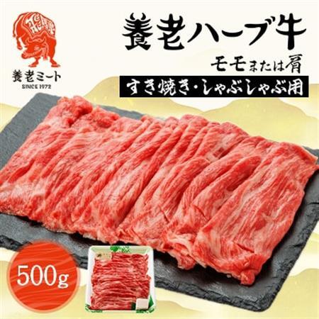 養老ハーブ牛　モモまたは肩　すき焼き・しゃぶしゃぶ両用　500g【配送不可地域：離島】【1273629】