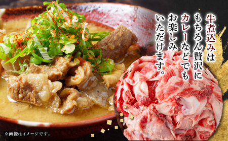 【飛騨牛】スジ肉 煮込み用【1kg/岐阜県産】【配送不可地域：離島】【1336482】