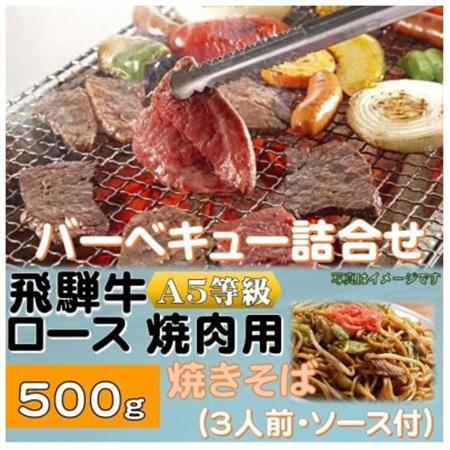 飛騨牛ロース5等級500g・焼きそば3人前(ソース付)　バーベキューセット【配送不可地域：離島】【1416387】