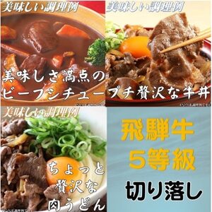 飛騨牛 5等級　切り落し　500g　養老うどん付(3人前)【配送不可地域：離島】【1416455】