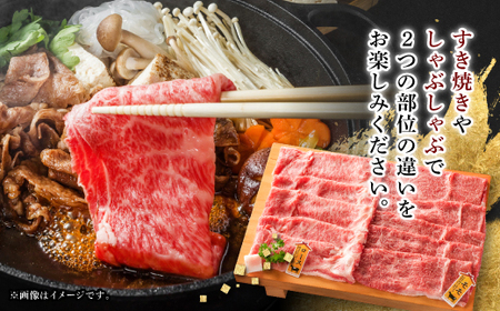 【飛騨牛】ロース、モモスライス詰め合せ 計約500g (各種250gずつ) 岐阜県産 黒毛和牛【配送不可地域：離島】【1435802】