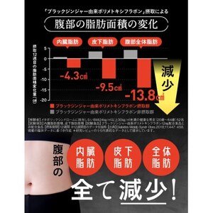 サプリメント 機能性表示食品 Slamee スラミー お腹の脂肪と皮下脂肪を減らす 30日/60粒【1490402】