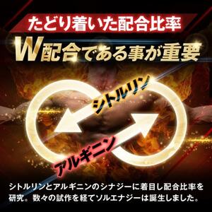 シトルリンサプリメント アルギニン 亜鉛 マカ配合 Mr.GINO ソルエナジー 30日(180粒)【1490403】