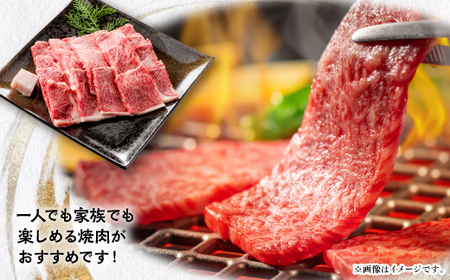 【飛騨牛A4等級以上】特選ロース(焼肉用)500g【配送不可地域：離島】【1451224】