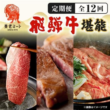【毎月定期便】月替わりで色々な飛騨牛を楽しめる全12回【配送不可地域：離島】【4051412】