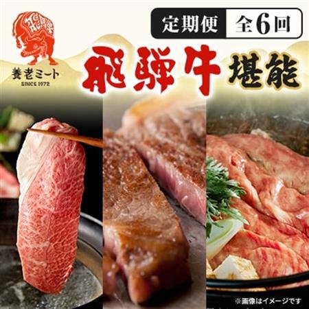 【毎月定期便】月替わりで色々な飛騨牛を楽しめる全6回【配送不可地域：離島】【4051414】