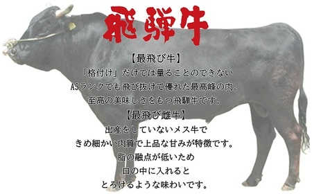 【最飛び雌牛】飛騨牛A5等級モモカタスライス　300g【配送不可地域：離島】【1520139】