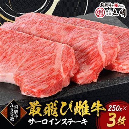 【最飛び雌牛】飛騨牛A5等級サーロインステーキ　250g×3枚【配送不可地域：離島】【1520145】