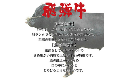 【最飛び雌牛】飛騨牛A5等級サーロインステーキ　250g×2枚【配送不可地域：離島】【1520149】