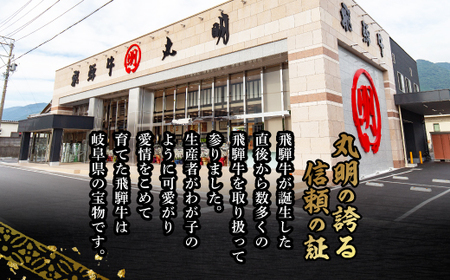 【最飛び雌牛】飛騨牛A5等級サーロインステーキ　250g×2枚【配送不可地域：離島】【1520149】