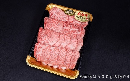 【最飛び雌牛】飛騨牛A5等級モモ焼き肉用 500g【配送不可地域:離島】【1520153】