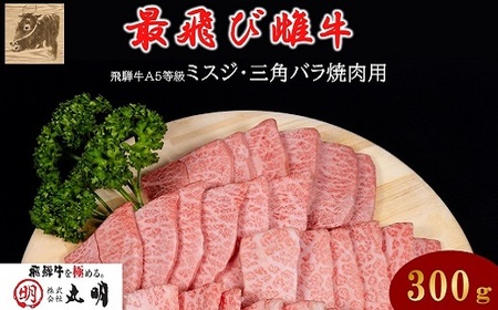 【最飛び雌牛】飛騨牛A5等級ミスジ・三角バラ焼肉用　300g【配送不可地域：離島】【1520158】 11,550円