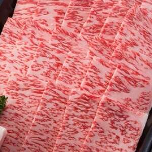 【飛騨牛】ロース焼肉500g 岐阜県産 黒毛和牛 BBQ 贈り物にも【配送不可地域：離島】【1046749】