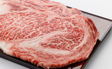 【飛騨牛】ロースステーキ2枚入り(1枚約200g 計約400g)【配送不可地域：離島】【1076538】