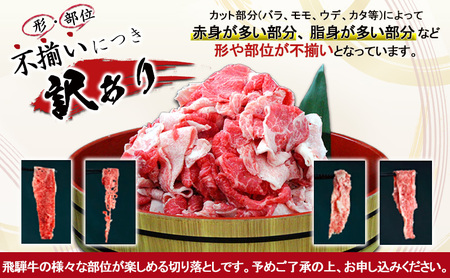 牛肉 飛騨牛 訳あり 受賞多数 何にでも使える 切り落とし 800g 牛 お肉 肉 国産 ブランド牛 飛騨 黒毛和牛 和牛 焼肉 焼き肉 バーベキュー BBQ 切り落し 冷凍 岐阜県産 わけあり 訳アリ 藤太 岐阜 養老