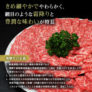 牛肉 飛騨牛 受賞多数 焼肉 肉厚 ロース 霜降り カルビ 詰め合わせ