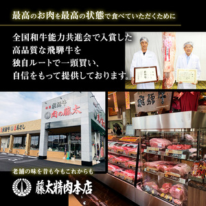 牛肉 飛騨牛 受賞多数 焼肉 肉厚 ロース 霜降り カルビ 詰め合わせ