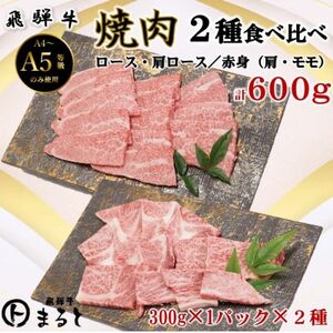 【飛騨牛】焼き肉2種食べ比べセット各300g入　合計600g【配送不可地域：離島】【1614115】