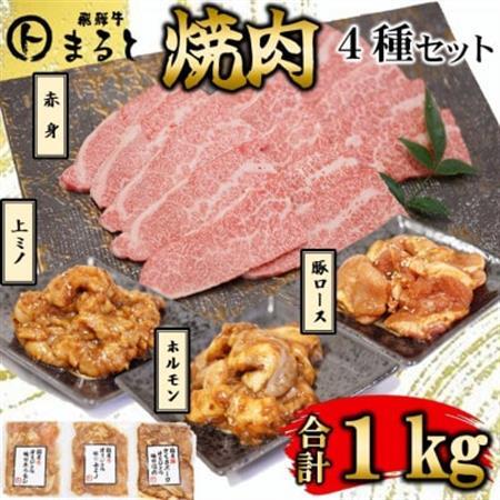 【飛騨牛】焼肉4種B-3セット　赤身肉と味付けホルモンなど　合計1kg【配送不可地域：離島】【1616690】