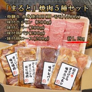 【飛騨牛】焼肉5種セット　赤身焼肉＆味付け牛ホルモンなど　合計1.2kg【配送不可地域：離島】【1616701】