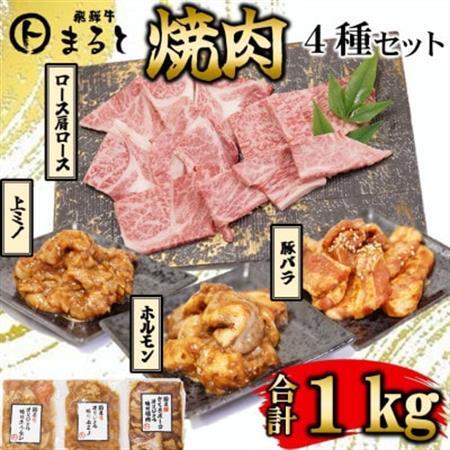 【飛騨牛】焼肉4種セット　ロース・肩ロースと味付けホルモンなど　合計1kg【配送不可地域：離島】【1616704】