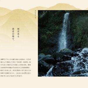 飛騨牛 切り落し 280g 訳あり【配送不可地域:離島】【1622911】