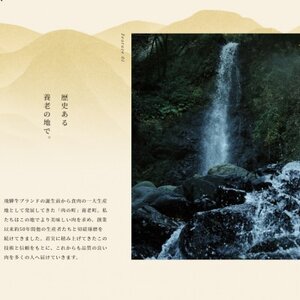 飛騨牛 モモブロック 300g【配送不可地域：離島】【1622913】