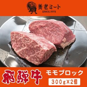 飛騨牛 モモブロック 300g×2個【配送不可地域：離島】【1622921】