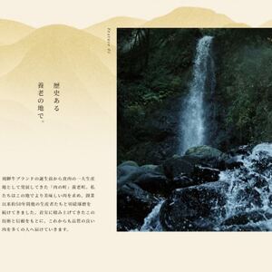 飛騨牛 モモブロック 300g×2個【配送不可地域：離島】【1622921】