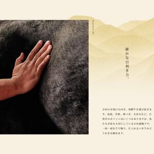 飛騨牛 サーロインブロック 5kg【配送不可地域:離島】【1622929】