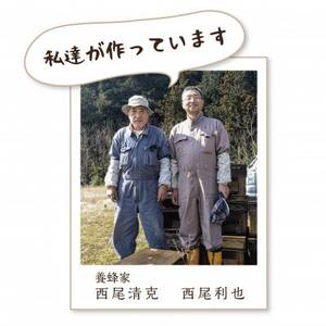 北海道産夏のはちみつ800g袋入り【1662632】