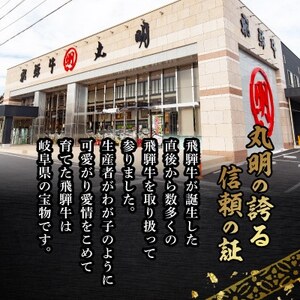 飛騨牛5等級 切り落とし用途いろいろ 800g【配送不可地域:離島】【1668211】