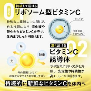 【毎月定期便】ビタクリアC リポソームビタミンC配合 ビタミンC1,000mg 30日分全4回【4074071】