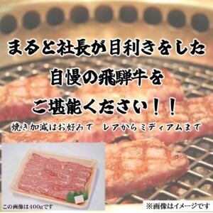 【飛騨牛】赤身 焼肉用 計300g入り【配送不可地域：離島】【1667302】