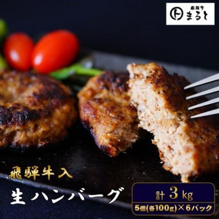 飛騨牛入特製生ハンバーグ　100g×30個【配送不可地域：離島】【1721802】