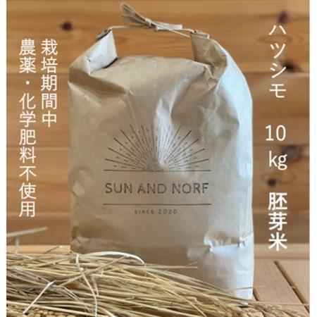 【令和7年産】初霜(源種)胚芽米10kg　(栽培期間中農薬・化学肥料不使用)【1721479】