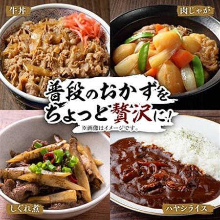 飛騨牛　切り落とし(コマ切れ) 500g【配送不可地域：離島】【1725162】