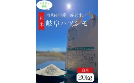 令和4年産岐阜ハツシモ 20kg 白米 | 岐阜県養老町 | ふるさと納税