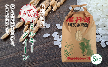 ≪令和7年産≫【特別栽培米】垂井町産 ミルキークイーン 5kg ｜ お米 米 こめ コメ 白米 精米 ご飯 ライス 産地直送 ギフト 贈答用 プレゼント 岐阜県産