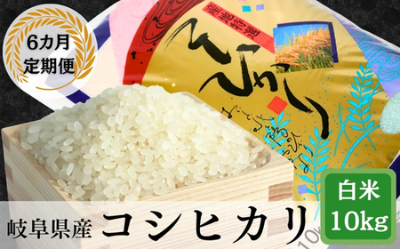 ≪令和7年産≫【6か月定期便】岐阜コシヒカリ10kg