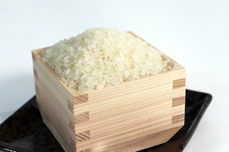 ≪令和7年産≫【12か月定期便】【新米】 岐阜ハツシモ5kg