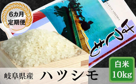 ≪令和7年産≫【6か月定期便】岐阜ハツシモ10kg