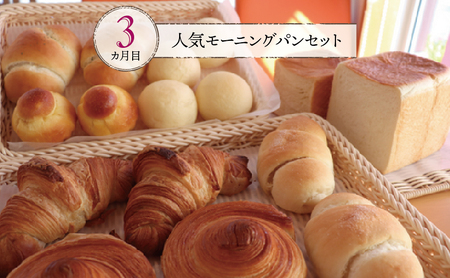 【国産小麦・バター100%】ナカタケ・チョイス定期便（３カ月） 2025/9/19～