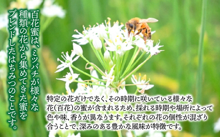 【国産】純粋蜂蜜1200g 2025/9/19～