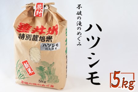 岐阜県(垂井町)】令和7年産 【新米】 特別栽培米 垂井町産 ハツシモ