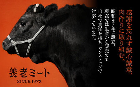 【12か月定期便】【飛騨牛】ロースまたは肩ロース 360g (すき焼き・しゃぶしゃぶ用) 2025/9/19～