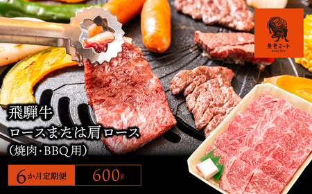 【6か月定期便】【飛騨牛】ロースまたは肩ロース600g (焼肉・BBQ用) 2025/9/19～