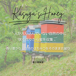 国産はちみつ1000g 2025/9/19～